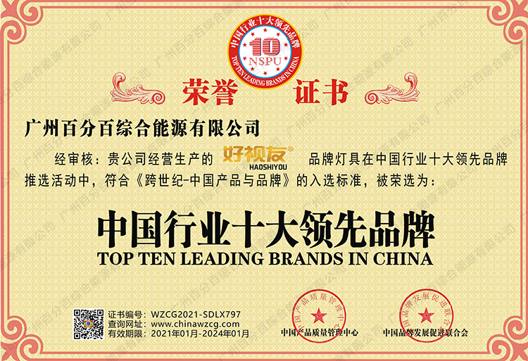 好視友品牌榮獲中國十大行行領先品牌